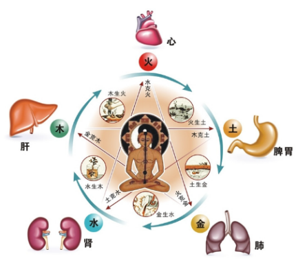 五脏五季养生歌