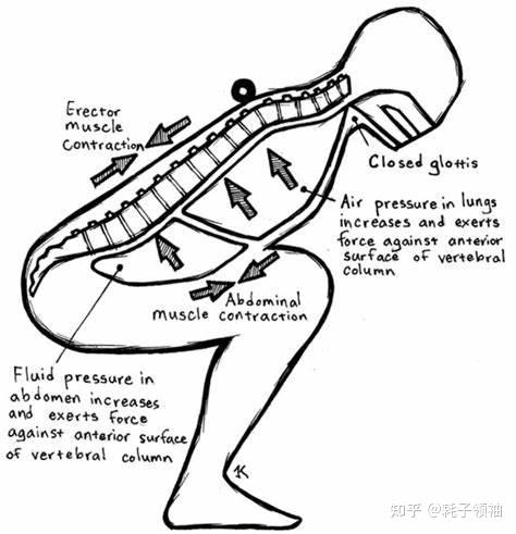 改良瓦氏动作原理图片