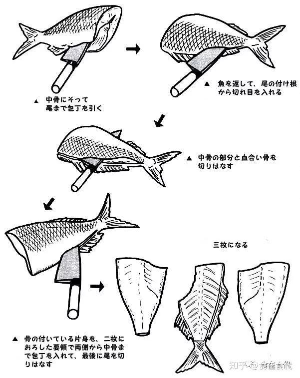日本料理杀鱼方法二枚切三枚切