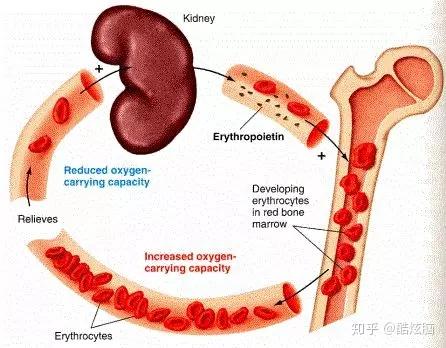 怎么判断自己或者周围人得了抑郁症