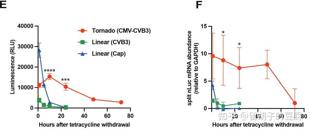 VLP递送Tornado系统表达的circRNA,实现更长久的蛋白表达 - 知乎