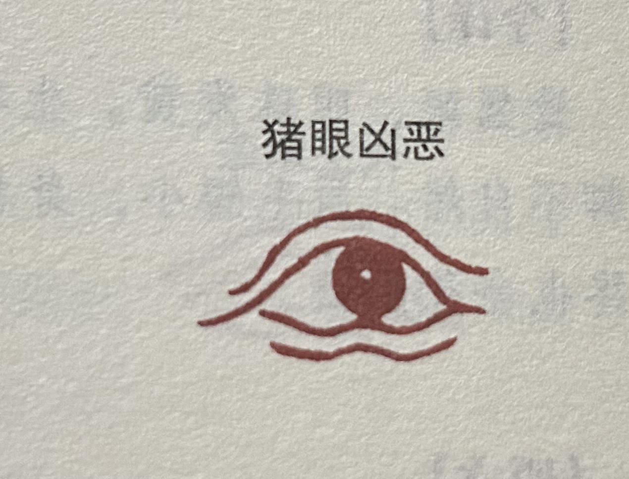 面相-眼 - 知乎