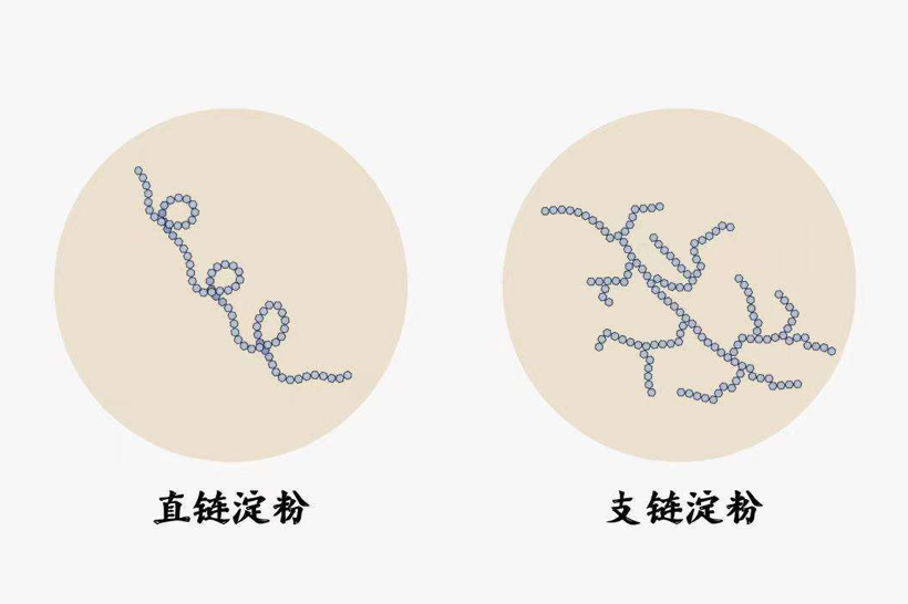 大米淀粉粒绘图图片