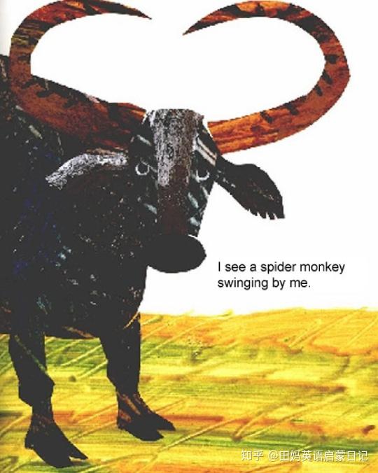 猛冲;向…冲去water buffalo 水牛生词:我看到一只水牛从我身边冲 ..