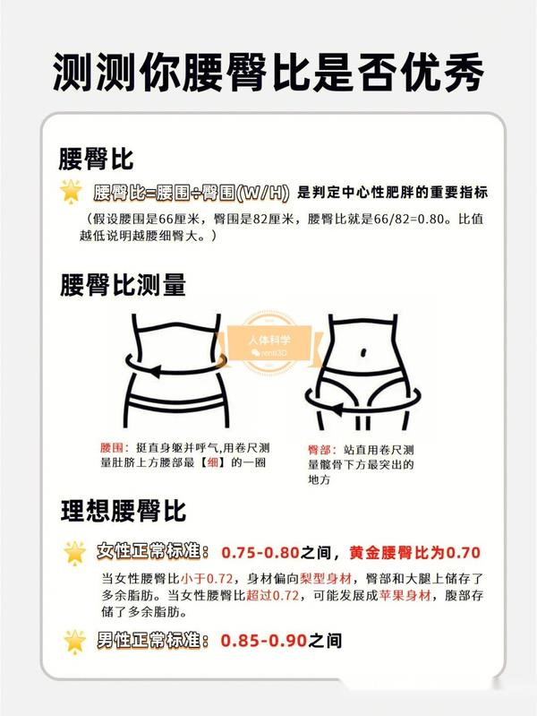 【体态管理】一张图教你测腰臀比（腰臀比训练方法） - 知乎