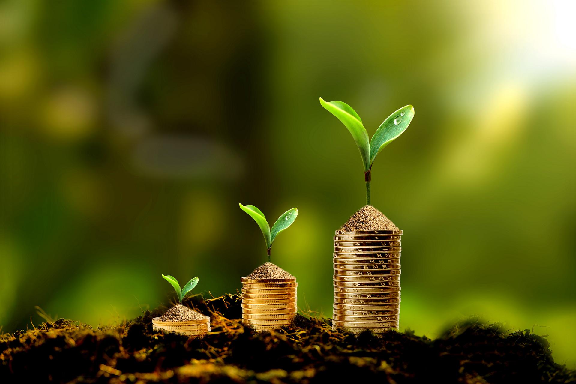 现在是什么时节 v2-279ea4fd531a5565df15d0bf1bf89cc3_r.jpg