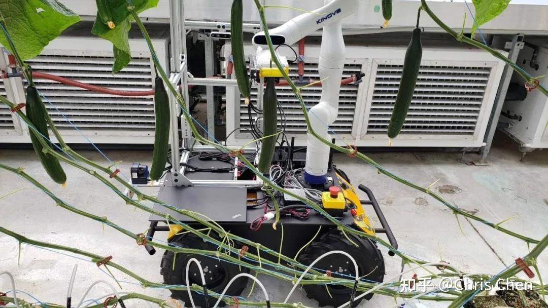 打造"黄瓜智能收割"机器人