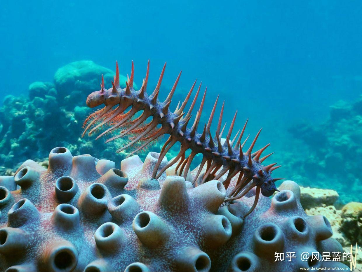 叶足动物门 Lobopodia的梳理 - 知乎