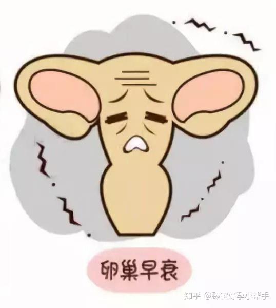 应对卵巢早衰的希望：捐卵提供生育途径 (应对卵巢早衰的方法)