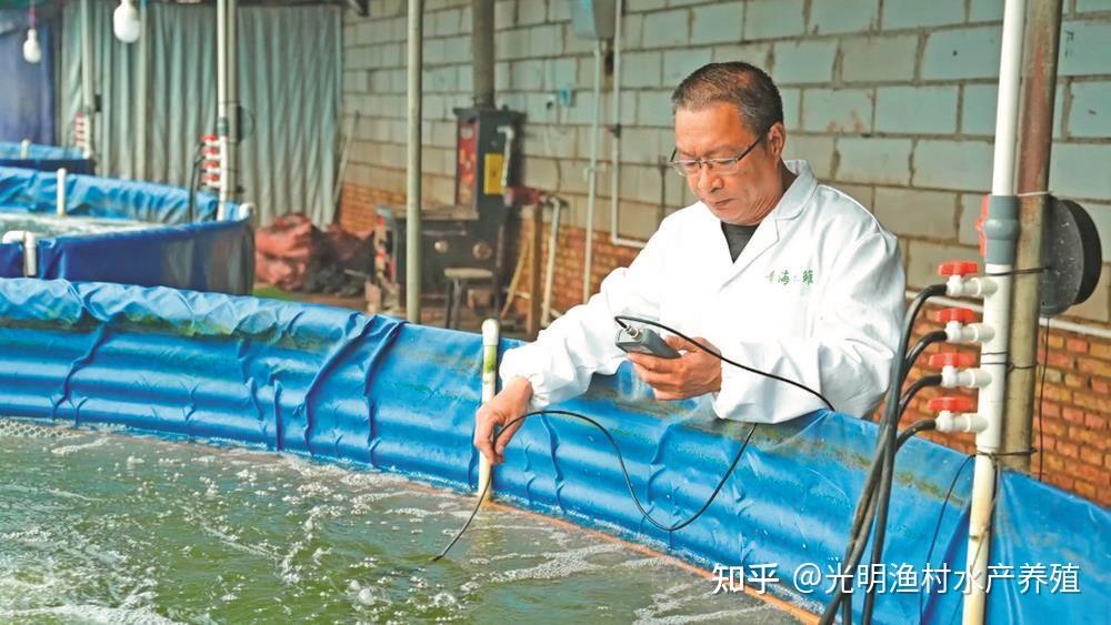 淡水虾王崛起：罗氏沼虾产业迎来科技养殖新时代 - 知乎