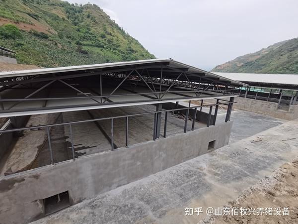 哪种栏舍更适合中小型猪场?猪场猪栏大全，应用范围以及优缺点详解 - 知乎