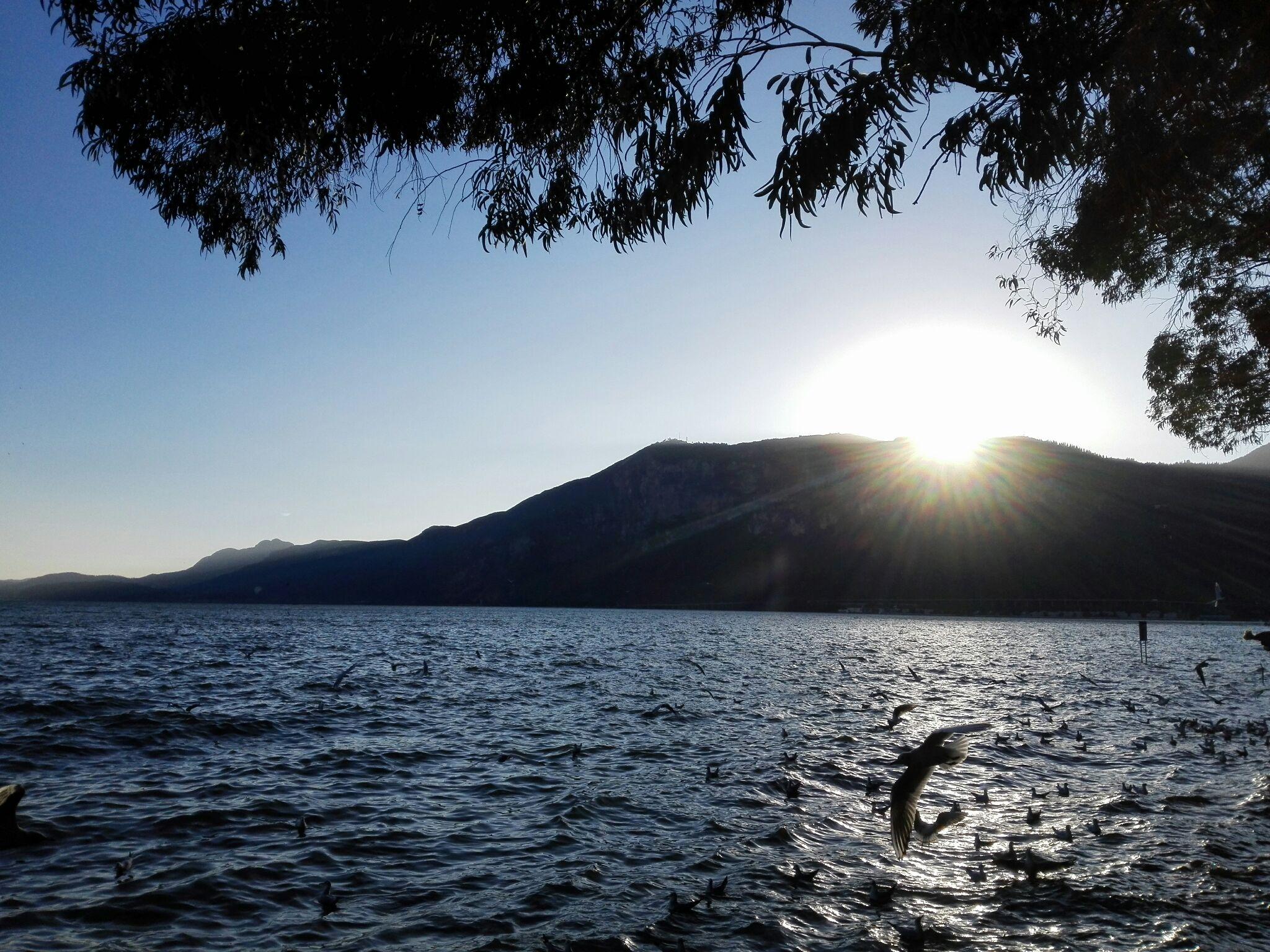 处于20岁的迷茫时期,缺乏决断力,怎么办? - 人生