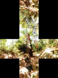 【GPU精粹与Shader编程】(二) 《GPU Gems 1》全书核心内容提炼总结 · 上篇