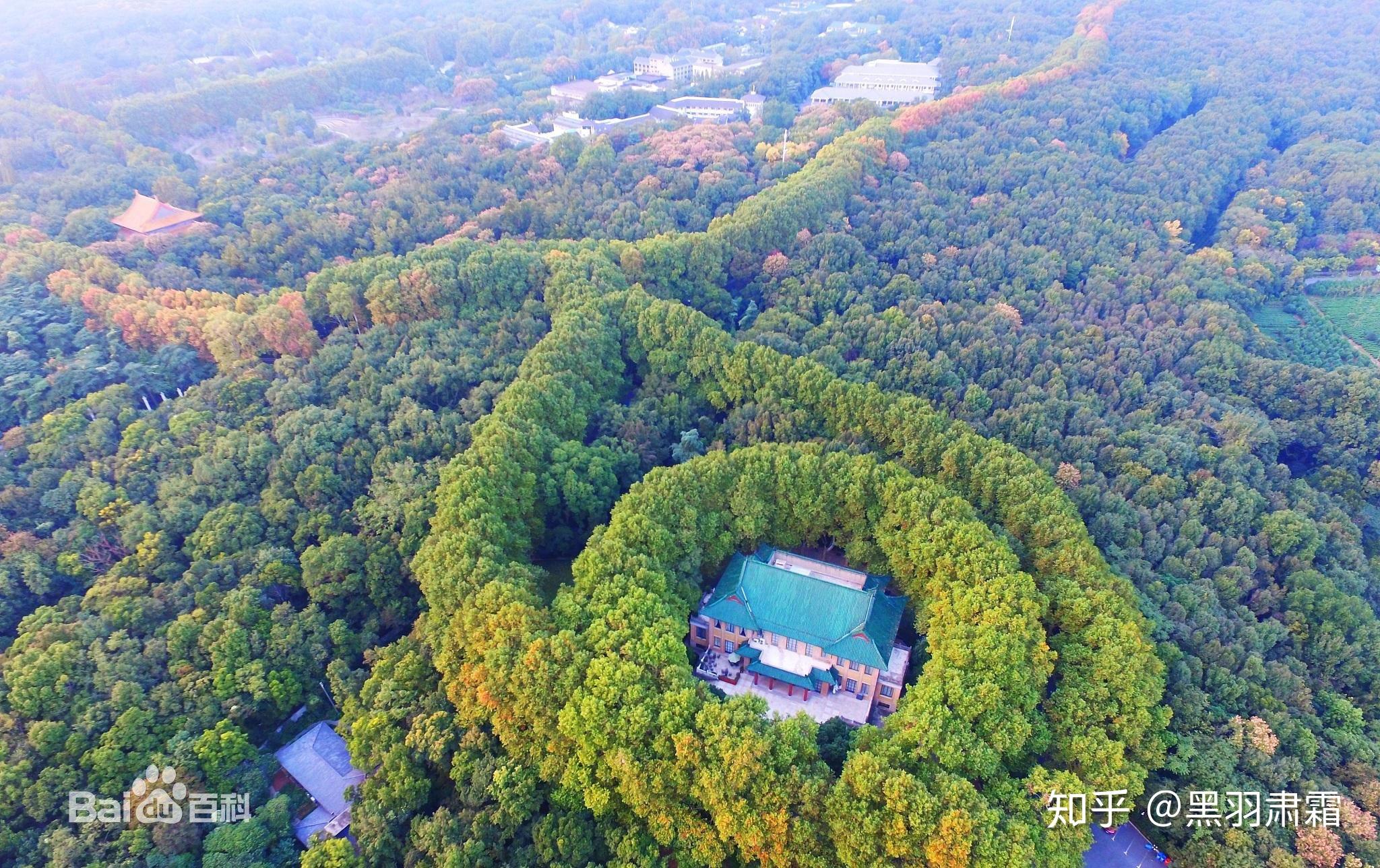 打算紫金山上下榻的酒店为中心,在周围游玩相关的景点,夜里回来的时候