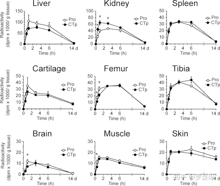 v2-281d259b349d84ee40caeba3e6afe0cb_r.jpg