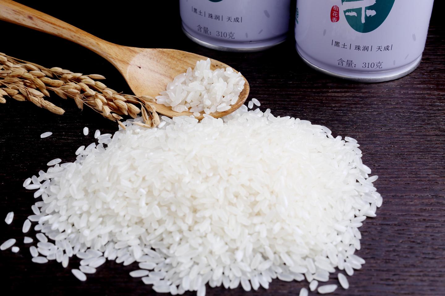 【动历史】粳米籼米糯米糙米，中国人吃了一辈子大米，但依然不了解它_哔哩哔哩 (゜-゜)つロ 干杯~-bilibili