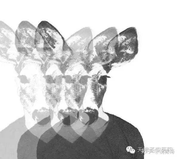 v2-283f96b0691ed2760662bad1d7a4f153_r.jpg