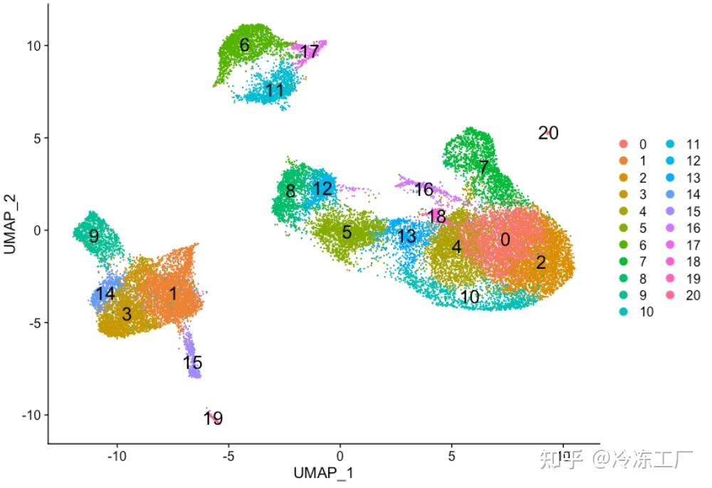 单细胞分析：细胞聚类（十） - 知乎