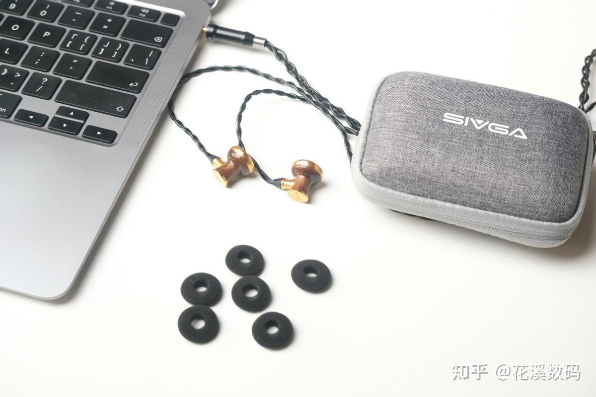 不堆料也能赢:SIVGA M300 黑檀木平头塞音质揭秘