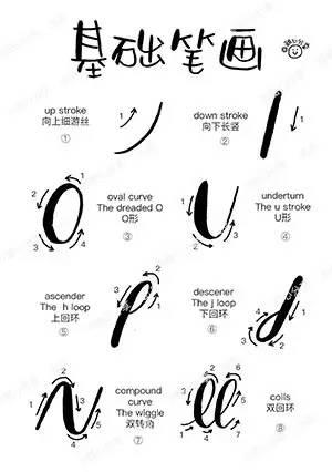 零基础入门 brush lettering - 知乎