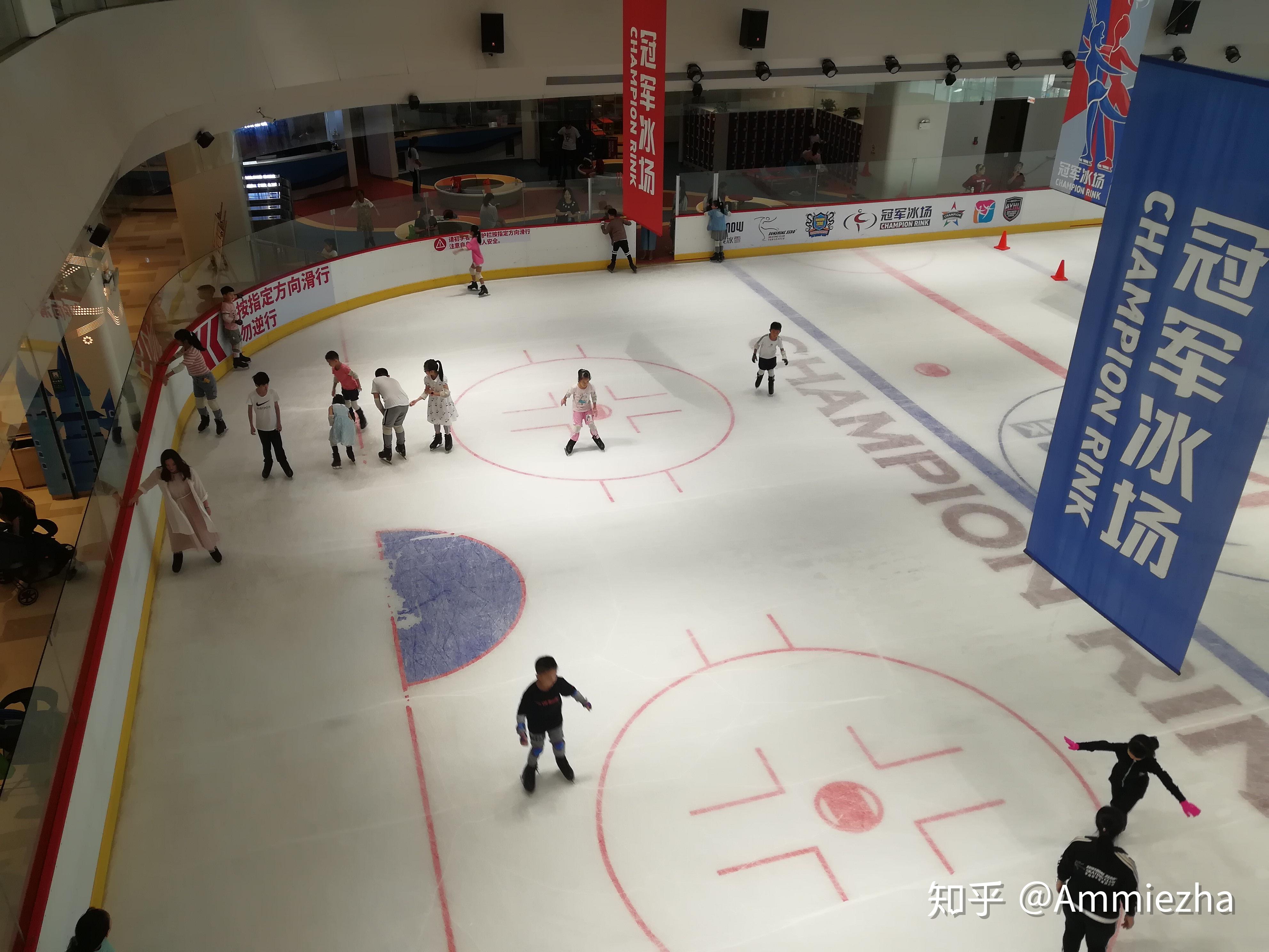 "燃擎北汽 相约北京" 冬季体育赛事科普——花样滑冰 | TheCars