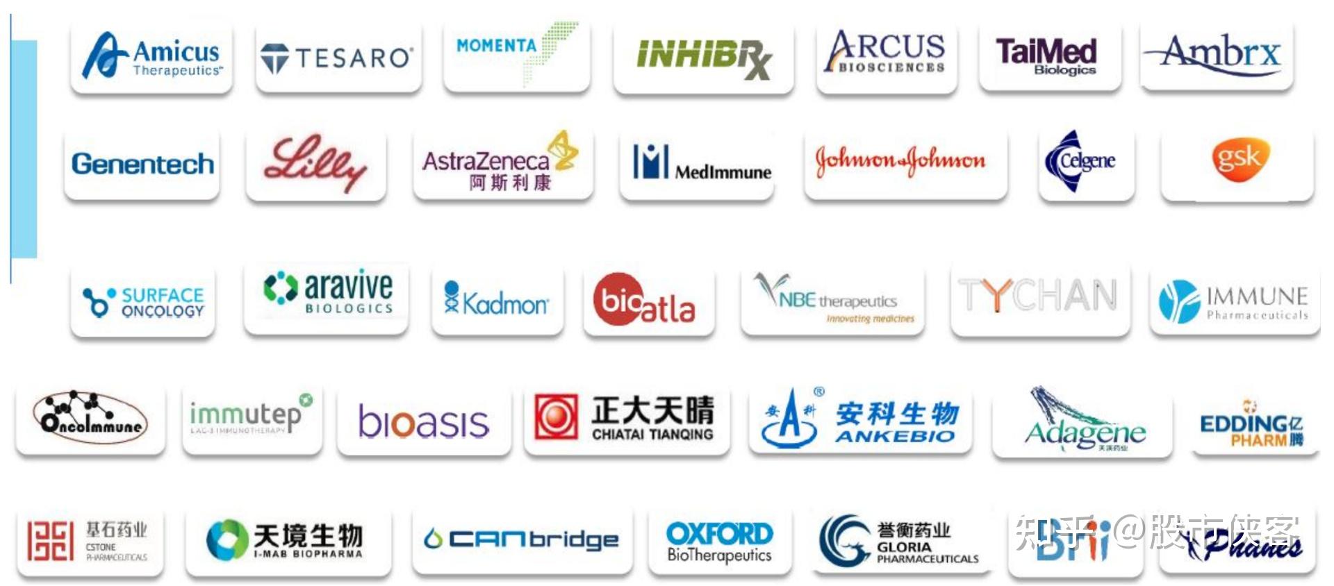 比恒瑞医药还强悍,未来中国医药之王,药明生物,生物药cdmo龙头 - 知乎