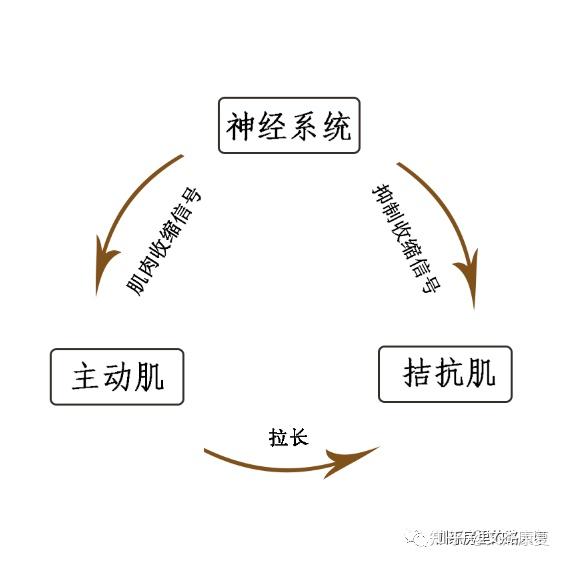 Negative reciprocal图片