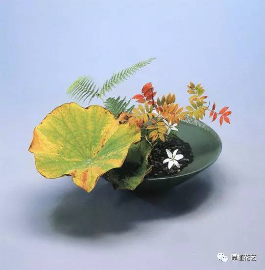 插花前度 直上型插花 城发网