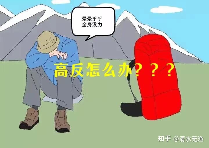有多少人是因为怕高反而不敢去西藏的?一文看懂高反到底是什么! - 知乎