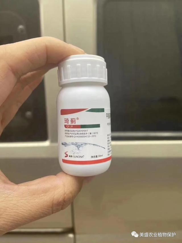 3分钟搞定蓟马这个药要火蓟马药免费试用看你还有机会吗
