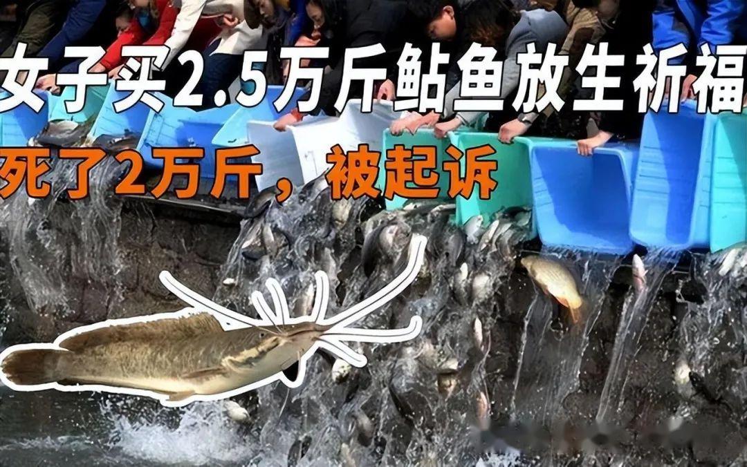 这也叫放生女子为祈福放生2万多斤鲶鱼结果却引来重罚