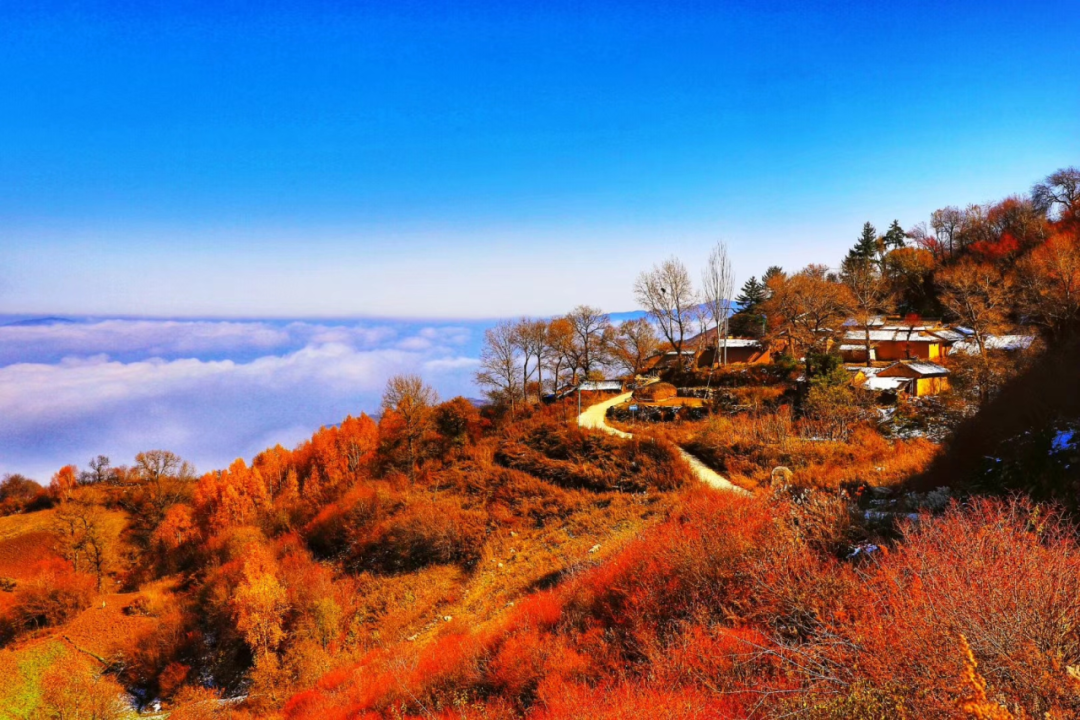 在深秋的定西漳县写尽诗意享受惬意慢时光