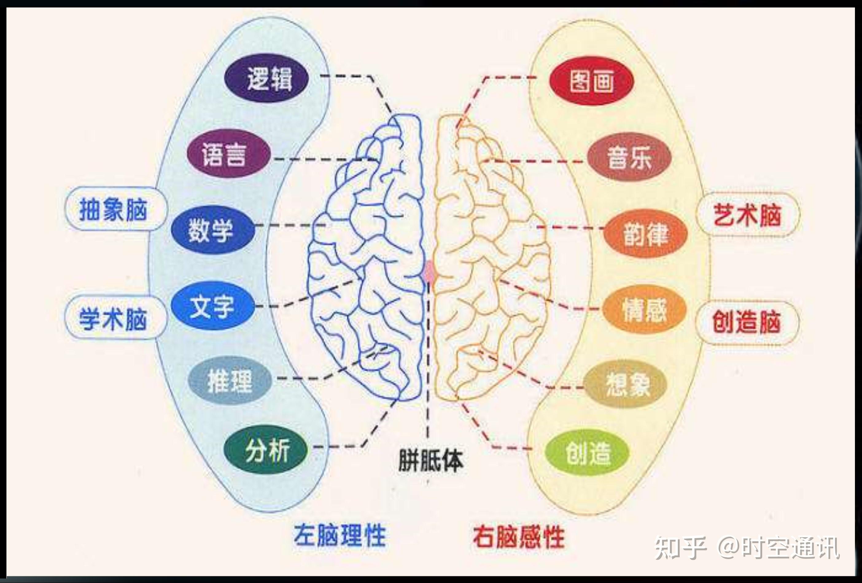 意识是从受精卵开始就有还是后来生成人死后意识会留下吗