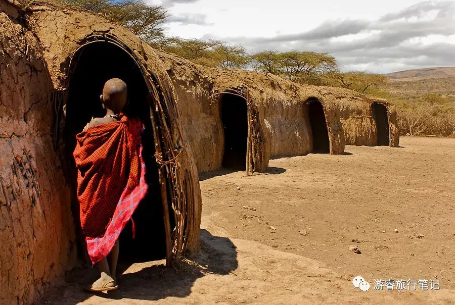 非洲部落喝牛脖血住牛粪屋牛尽其用