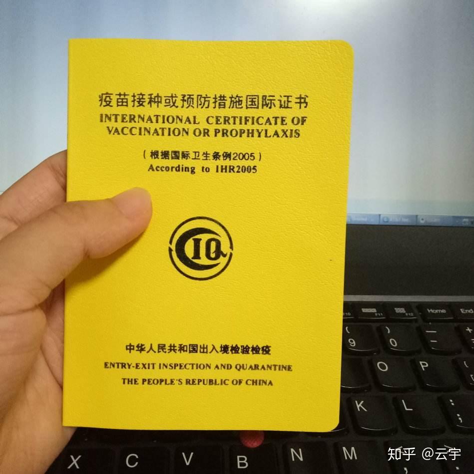 为了去肯尼亚偶遇彭彭和丁满我做了这些准备