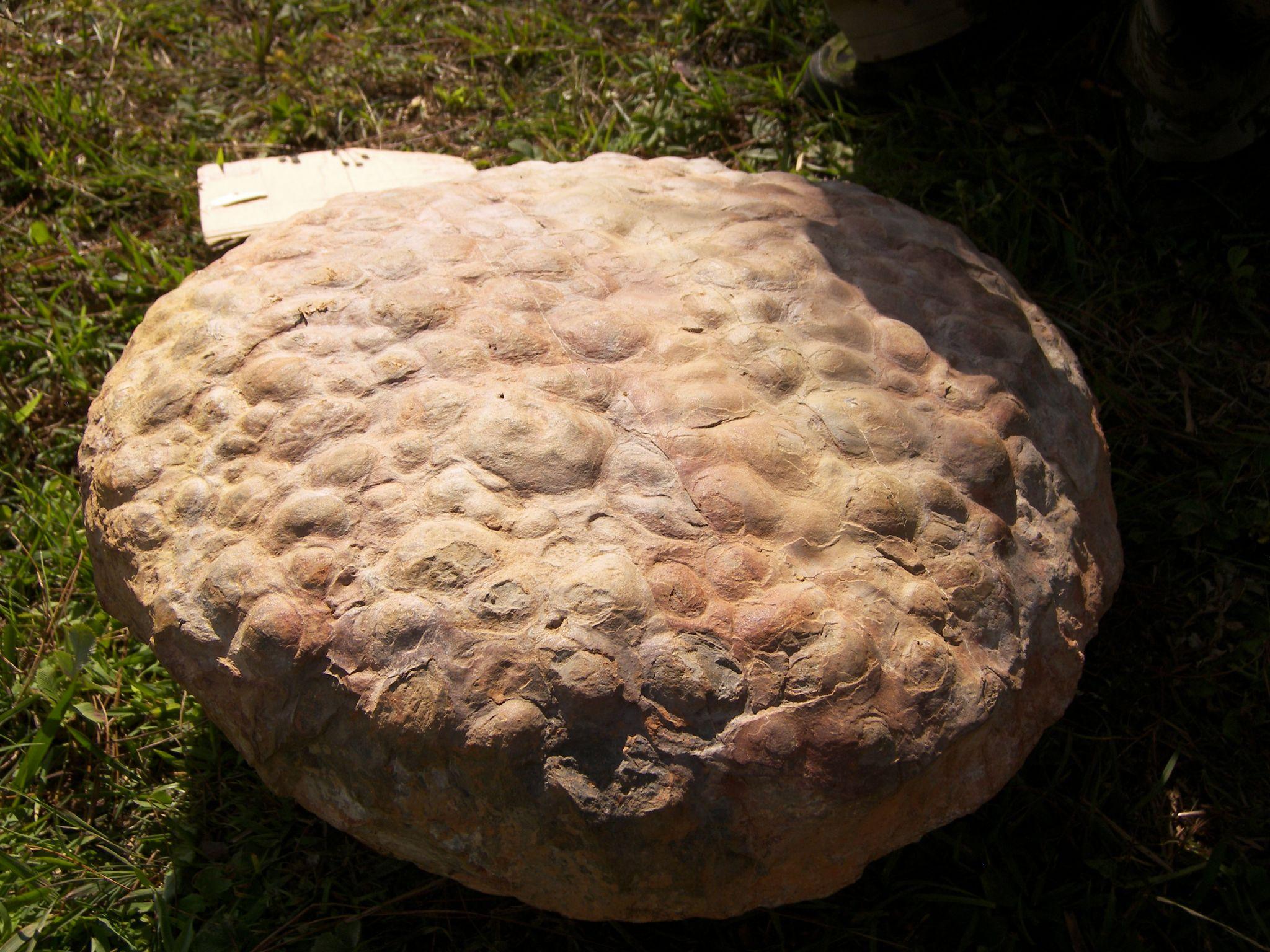 石是怎样形成的 v2-28e43294e5d2bf883e33b63b70fd7767_r.jpg