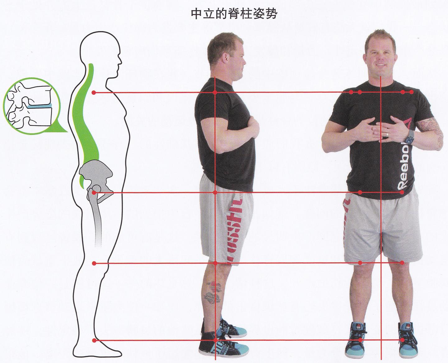 深度什么是脊柱中立位你真的了解吗