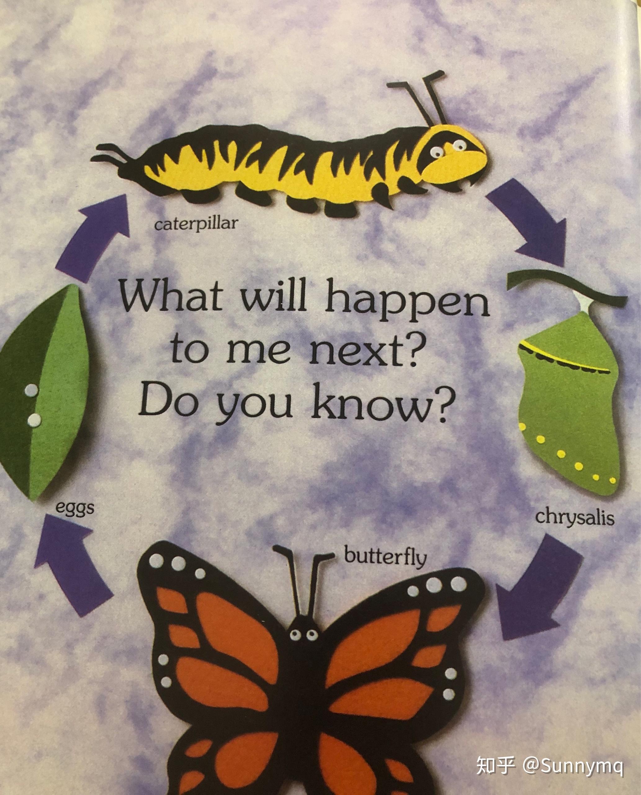 毛毛虫的玩法英文绘本画画乐高科学