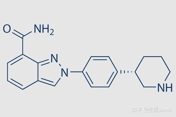 恒瑞parpi艾瑞颐背后的科学家