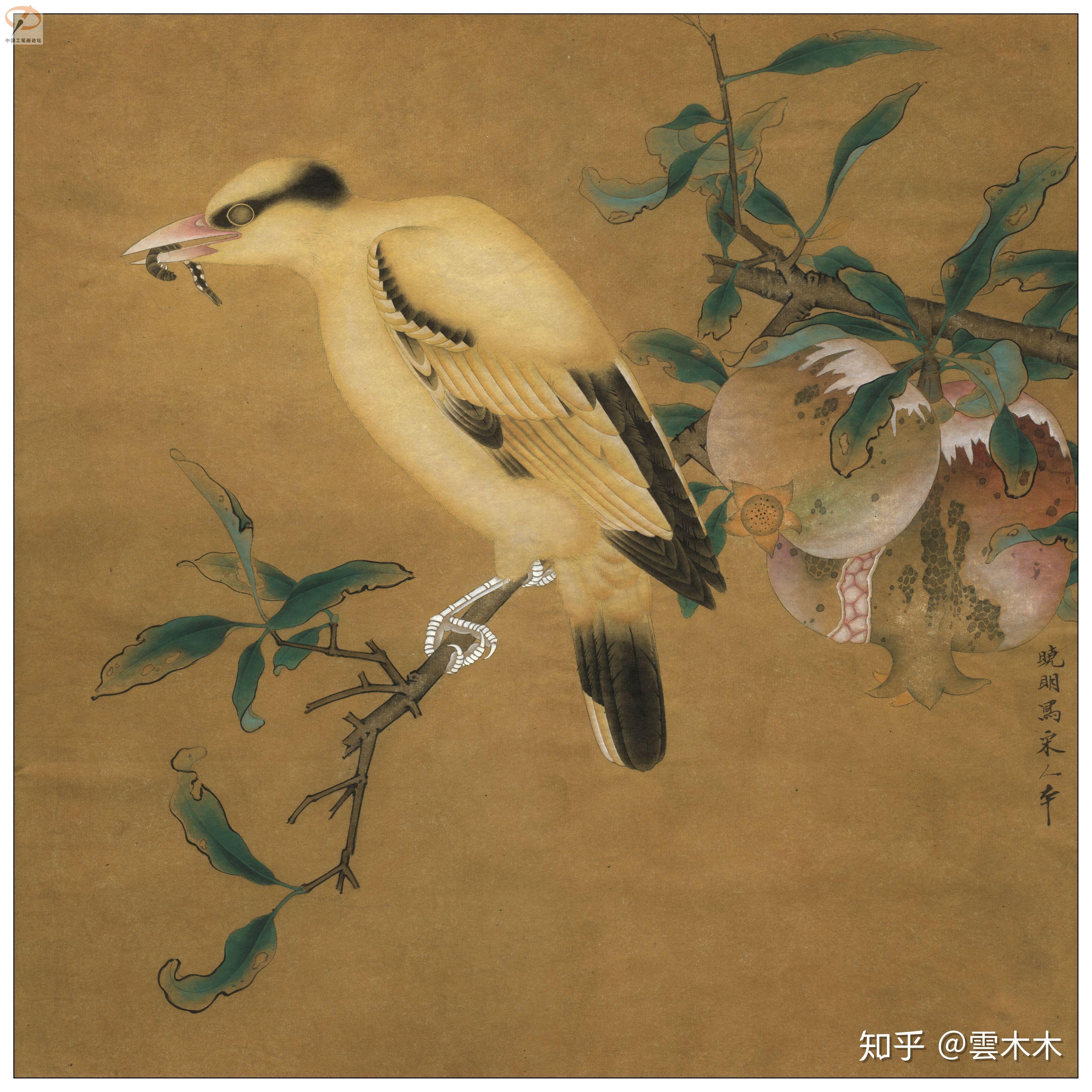宋小品国画工笔绘画步骤图榴枝黄鸟图尺寸3535cm