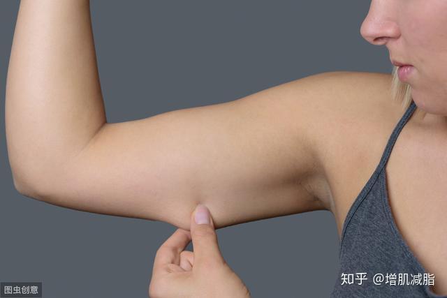 这8个手臂力量动作,让你的手臂变纤细紧实,拜拜肉无处躲藏 - 知乎
