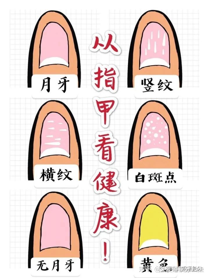 你手指甲有8个月牙白吗