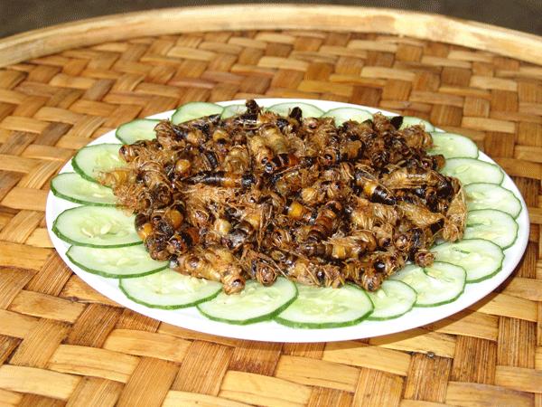 租房邪恶美食排行,你敢说都吃过?