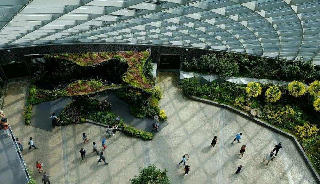 皆大欢喜新加坡留学生告别新冠疫苗证明时代了内附最新入境流程