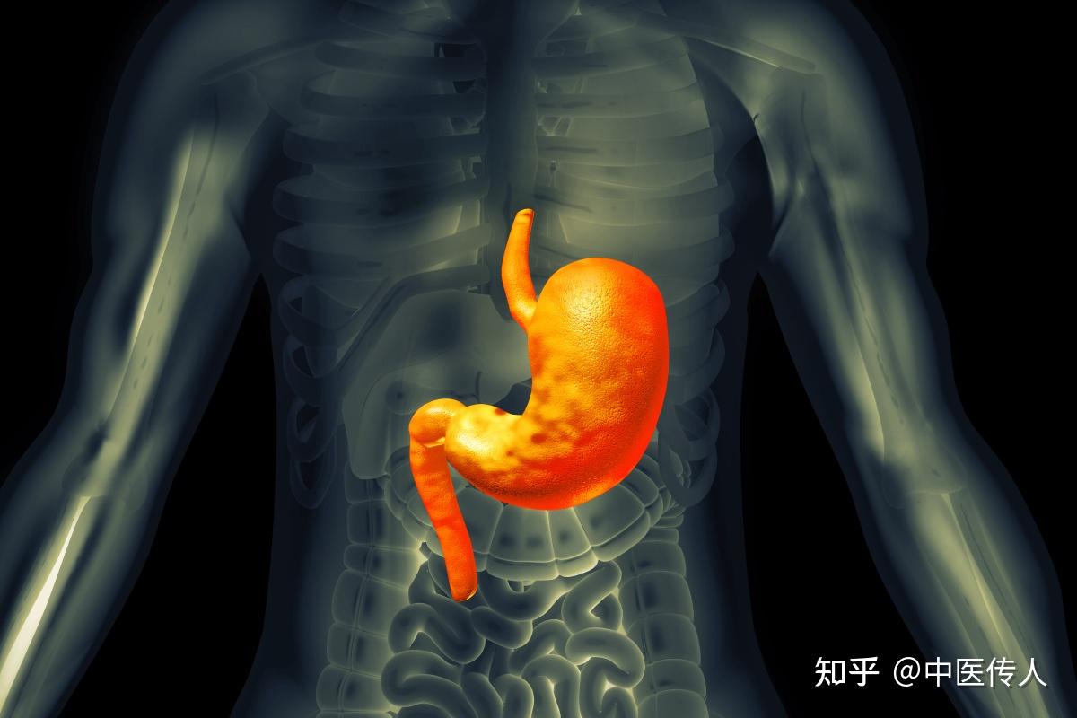 中医重视脾胃的思想及临床应用 - 知乎