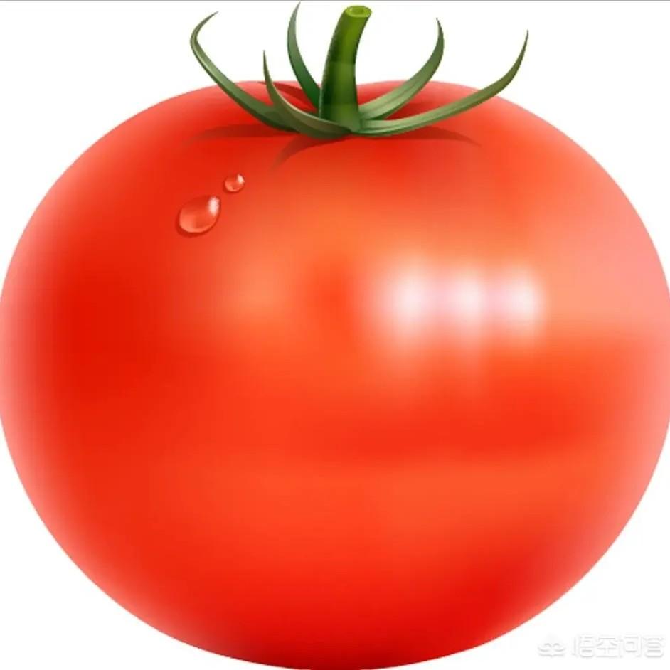 法农