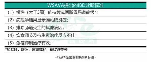 猫咪慢性呕吐反反复复？IBD能否被彻底治愈？ - 知乎