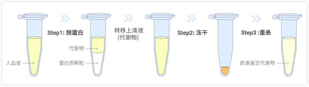 代谢组学基础实验篇 | MedChemExpress - 知乎