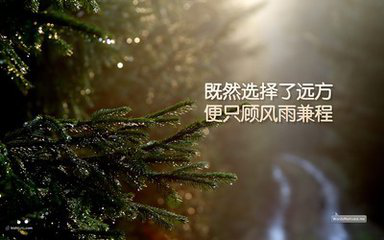 v2-295ecbee669028d43d5eb7e7af90bb13_1440w.jpg?source=172ae18b