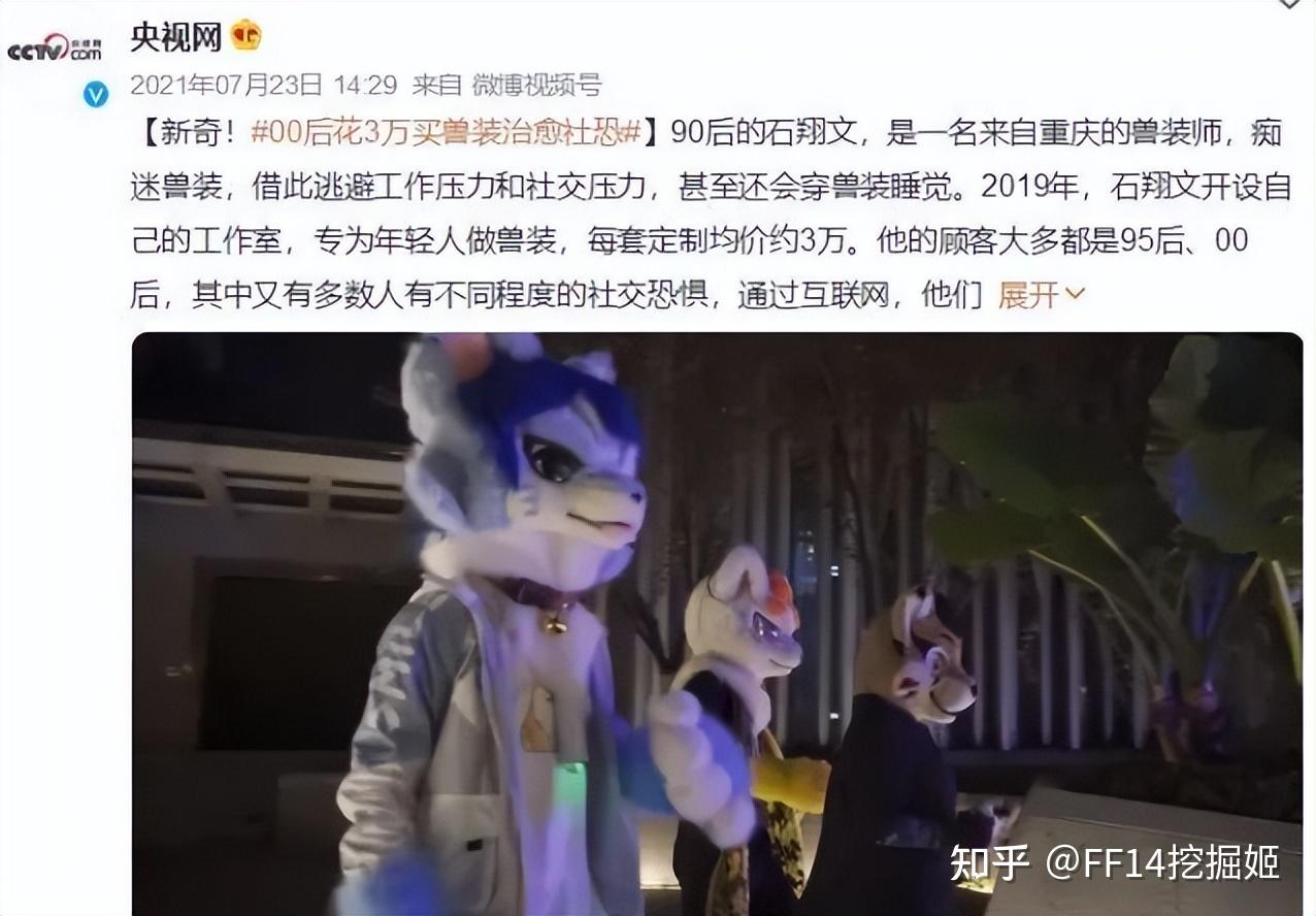 福瑞也分等级!兽耳娘为什么不算福瑞?鉴定福瑞的标准是什么? - 知乎